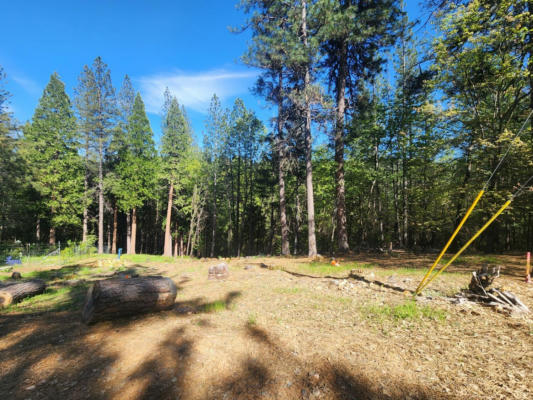 5508 FIVE SPOT RD, POLLOCK PINES, CA 95726, photo 4 of 5