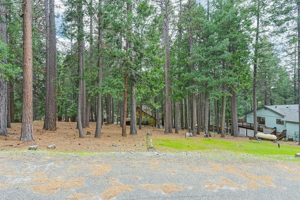 5406 BUTTERCUP DR, POLLOCK PINES, CA 95726, photo 1 of 8