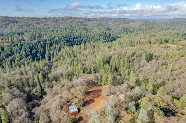 3303 WEBER RD, PLACERVILLE, CA 95667 - Image 1