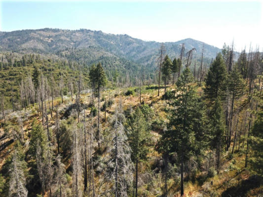 0 OLD YOSEMITE ROAD, COULTERVILLE, CA 95311 - Image 1