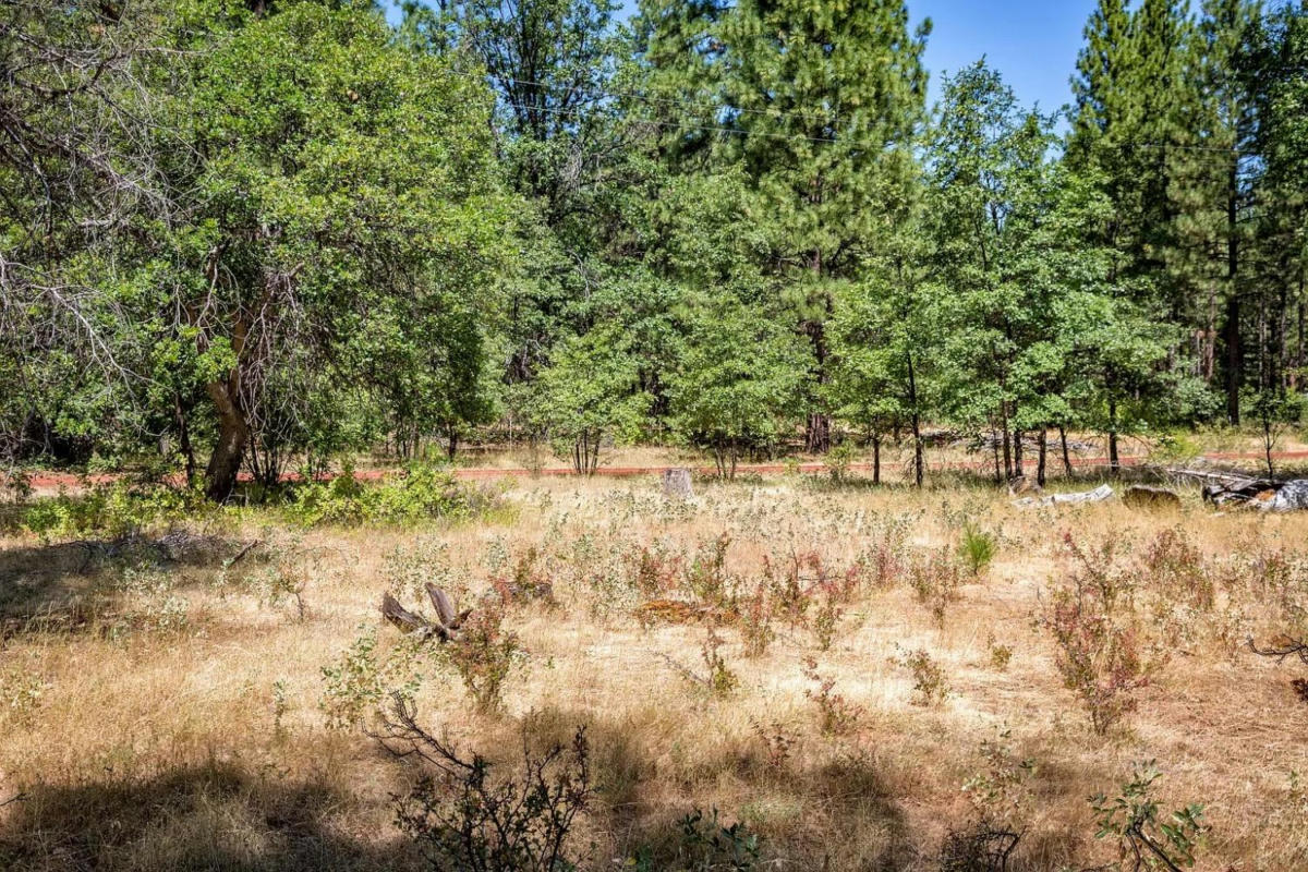 0 OLD BROWN RANCH RD, MCARTHUR, CA 96056, photo 1 of 13
