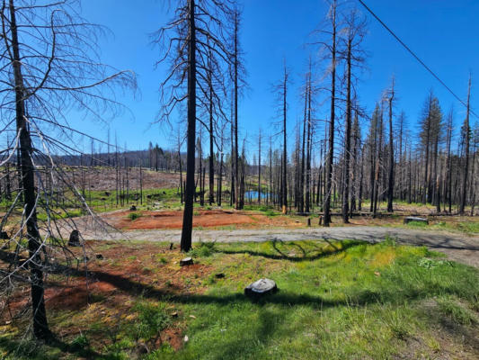 4491 STRING CANYON RD, GRIZZLY FLATS, CA 95636 - Image 1
