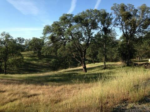 0 GUSANILLO WAY, COULTERVILLE, CA 95311, photo 1 of 7
