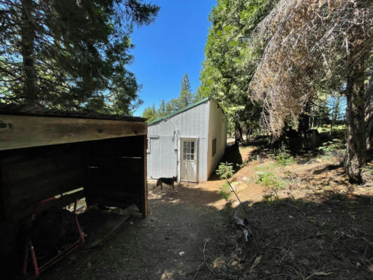 10769 LOWELL HILL RD, NEVADA CITY, CA 95959, photo 5 of 18