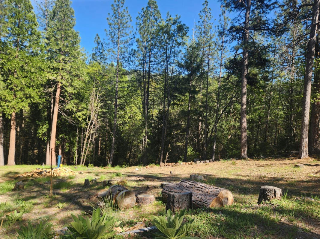 5508 FIVE SPOT RD, POLLOCK PINES, CA 95726, photo 1 of 5