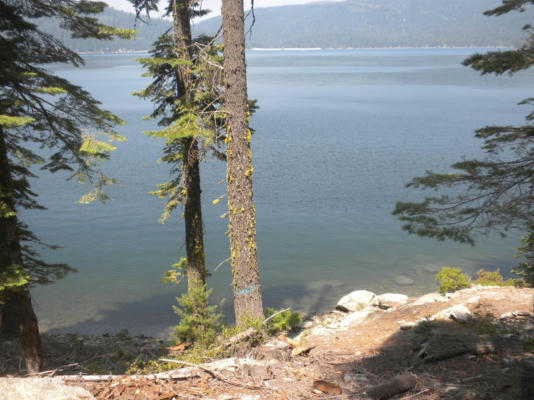 822 MILE HIGH ROAD, BUCKS LAKE, CA 95971 - Image 1