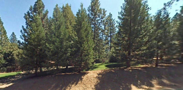 5530 HARRIS CUT OFF RD, MARIPOSA, CA 95338 - Image 1