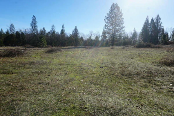 0 FRENCHTOWN RD, BROWNSVILLE, CA 95919 - Image 1