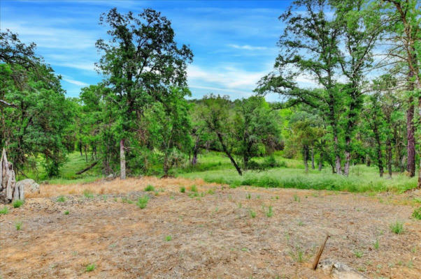 24 TURKEY HOLLOW TRAIL, BROWNS VALLEY, CA 95918 - Image 1