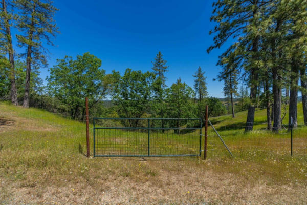 12377 TWIN PINES RD, SUTTER CREEK, CA 95685 - Image 1