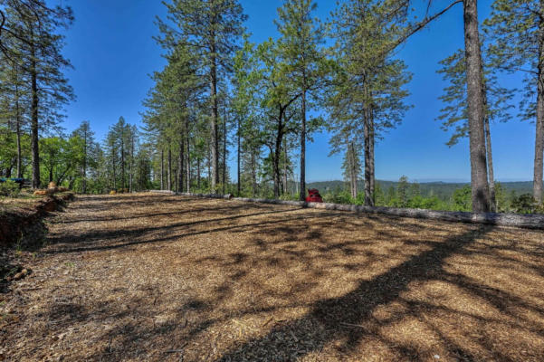 17200 MOUNTAIN VIEW DRIVE, APPLEGATE, CA 95703, photo 4 of 76
