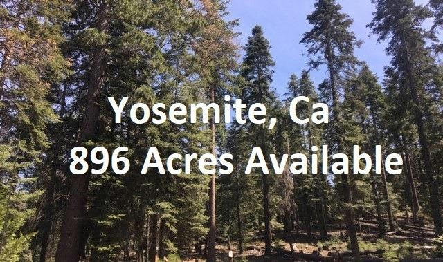 7392 HENNESS RIDGE DR, YOSEMITE NATIONAL PAR, CA 95389, photo 2 of 22