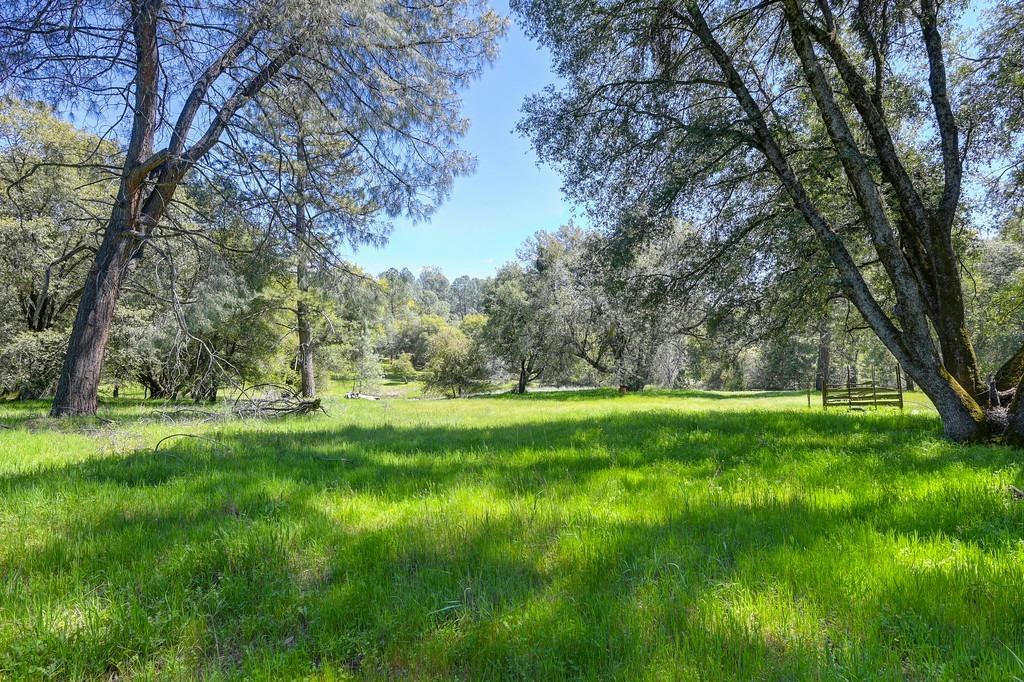 3780 SAND RIDGE RD, PLACERVILLE, CA 95667, photo 1 of 41
