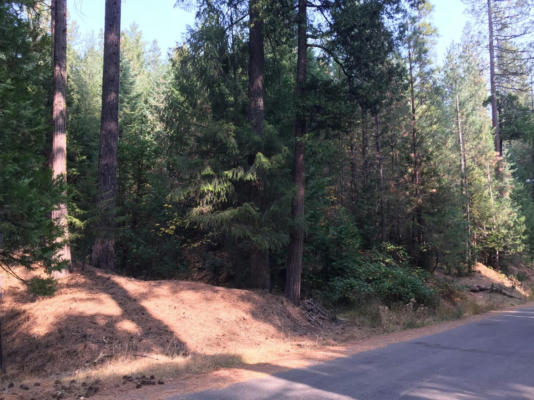 7676 WINDING WAY, GRIZZLY FLATS, CA 95636 - Image 1