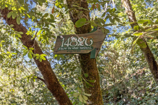 14826 EAGLE NEST LN, GUERNEVILLE, CA 95446 - Image 1