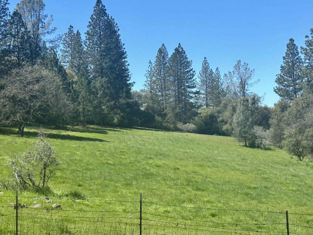 0 AMERICAN FLAT ROAD, FIDDLETOWN, CA 95629, photo 1 of 22