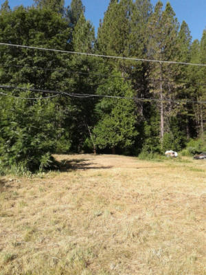 262 W OLYMPIA DR, GRASS VALLEY, CA 95945 - Image 1